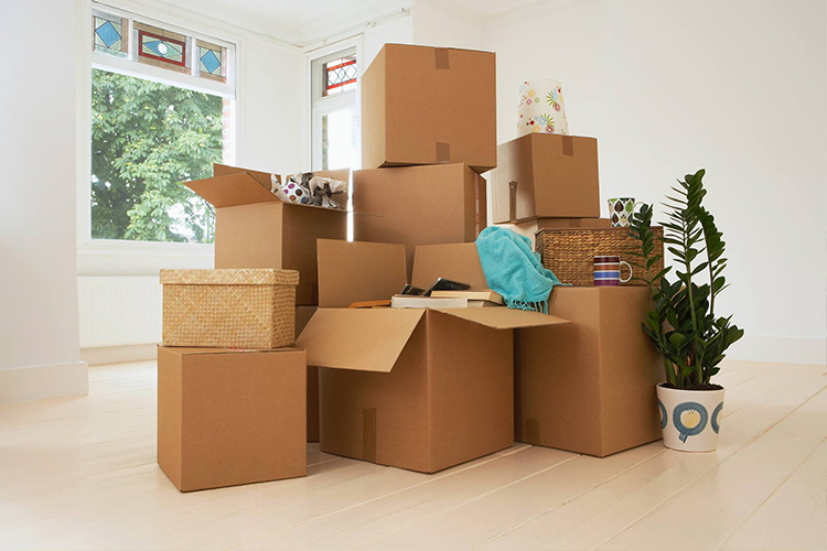 Lift verhuizen - professionele service